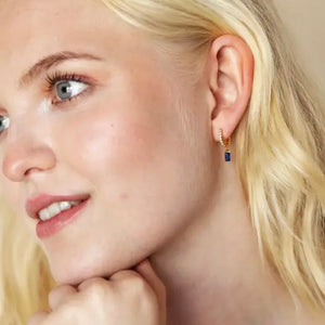 Montana Gemstone and Crystal Huggies