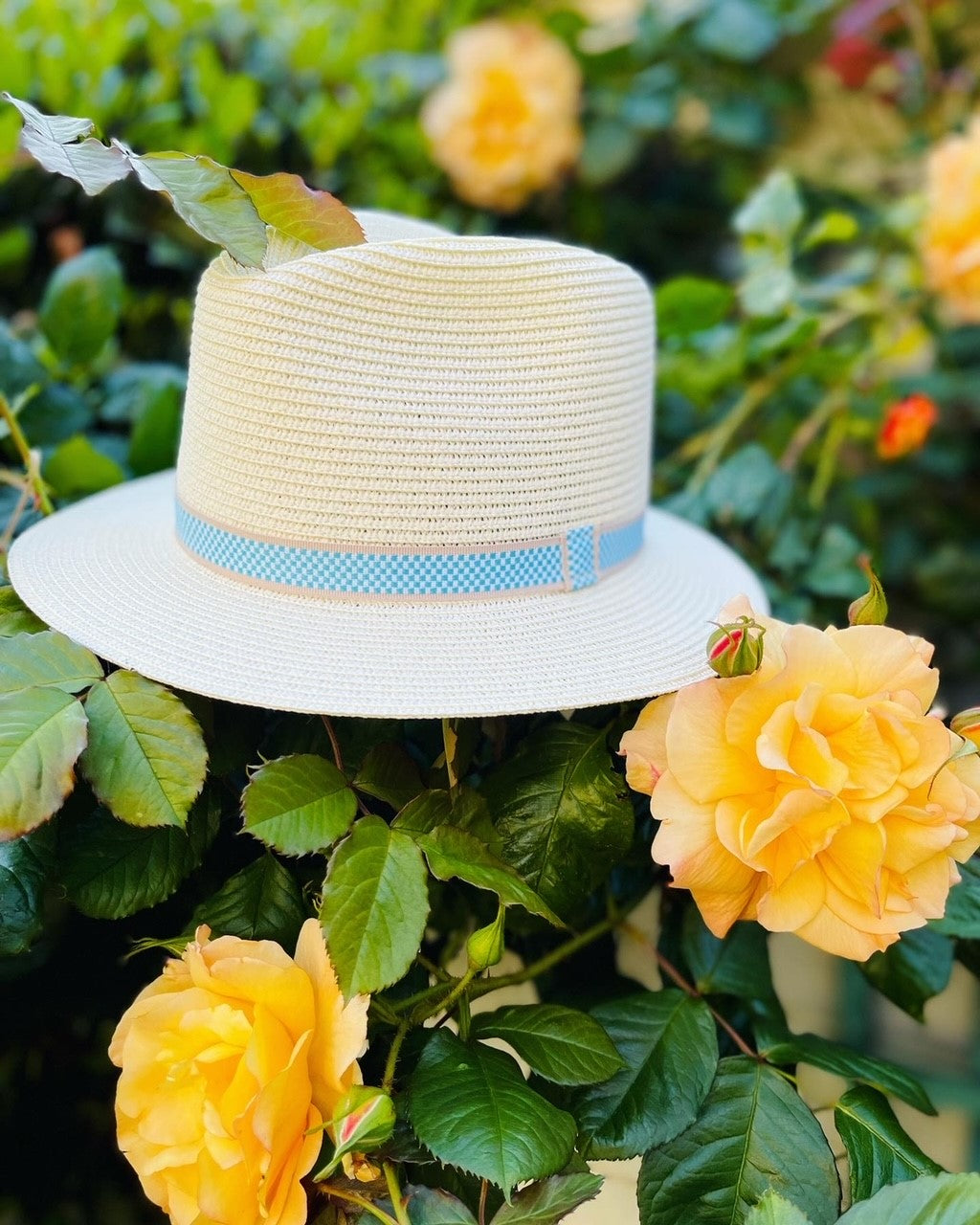 Summer Straw Fedora With Pale Blue Gingham With Beige Edge